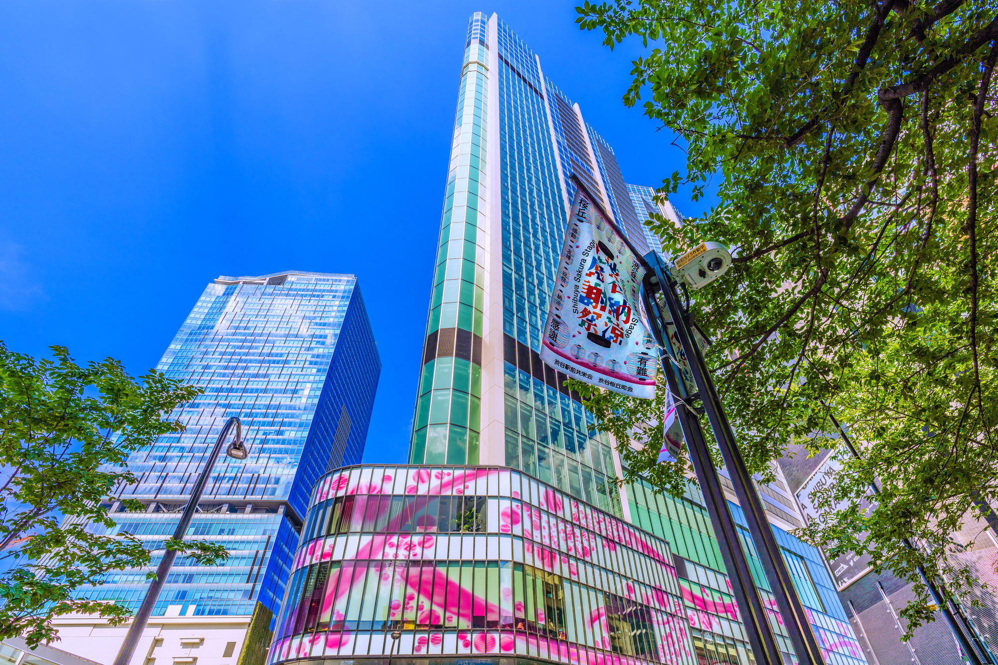 渋谷区